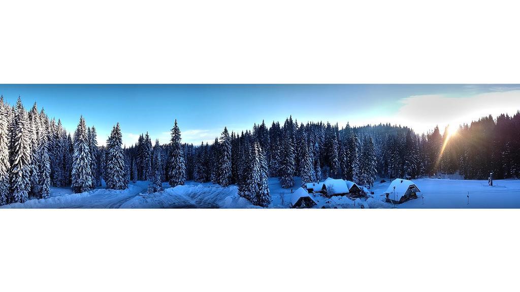 Hotel Pokljuka Goreljek Ngoại thất bức ảnh